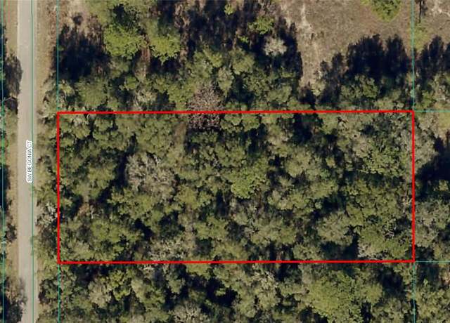 Property at Begonia Ct, Dunnellon, FL 34431