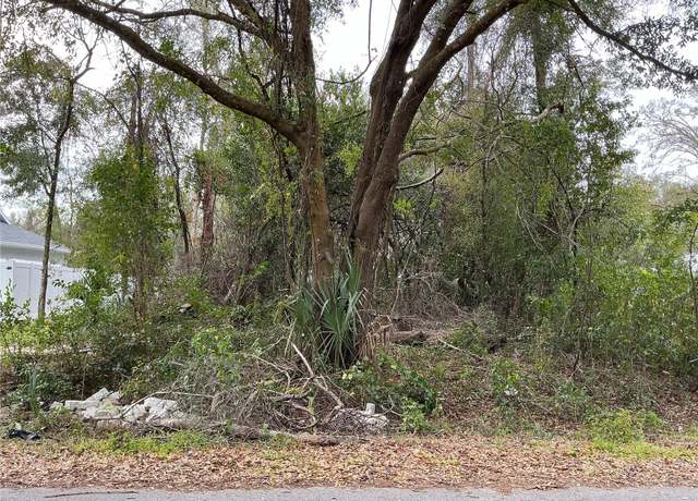 Property at 0 SE 137th Pl, Summerfield, FL 34491