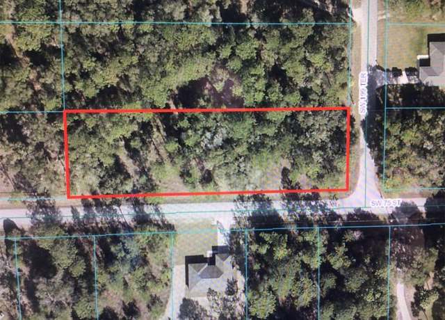 Property at 0 SW 199 Ter, Dunnellon, FL 34431