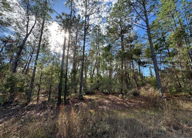 Property at NE 133rd St, Salt Springs, FL 32134