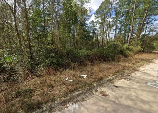 Property at Block 246 Lot 3, Interlachen, FL 32148