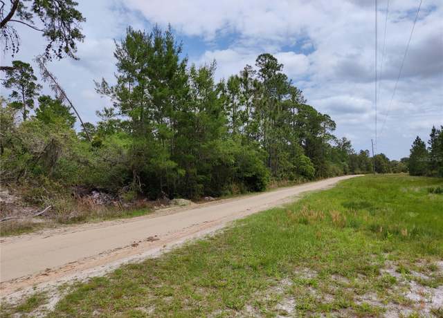 Property at Buck Run Dr Lot -10,33,& 39, Paisley, FL 32767