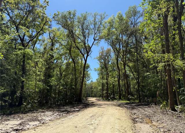 Property at 43ac NW 193rd St, Reddick, FL 32686