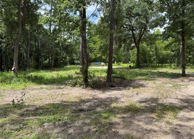 Property at 15183 NE 143rd Ter, Waldo, FL 32694
