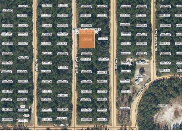 Property at TBD Neilsen Ave, Interlachen, FL 32148