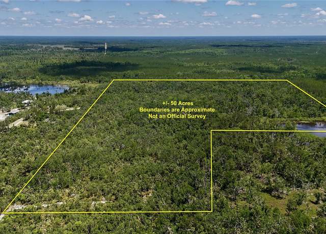 Property at 00 Leroy Lyons Rd, Perry, FL 32348