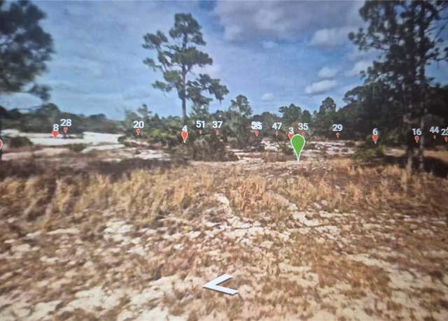 Property at 547 Branchwood Ave, Lake Placid, FL 33852