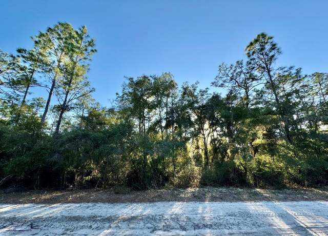 Property at 105 Longtree St, Georgetown, FL 32139