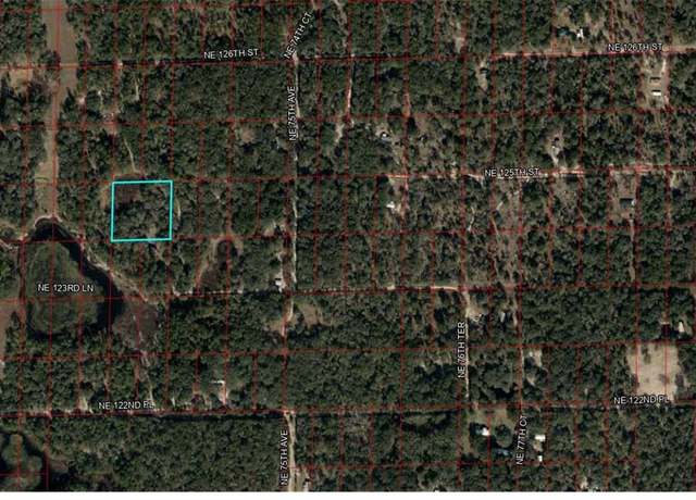 Property at Lot 110 &111 NE 125th St, Bronson, FL 32621