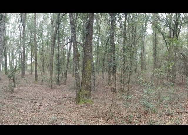 Property at 176th St, Mc Alpin, FL 32062