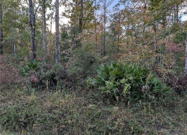 Property at 10655 Turpin Ave, Hastings, FL 32145