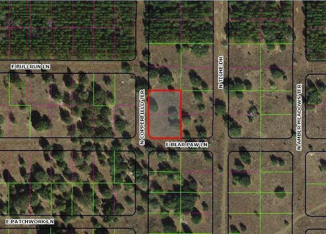 Property at 229 N Copperfield Ter, Inverness, FL 34453