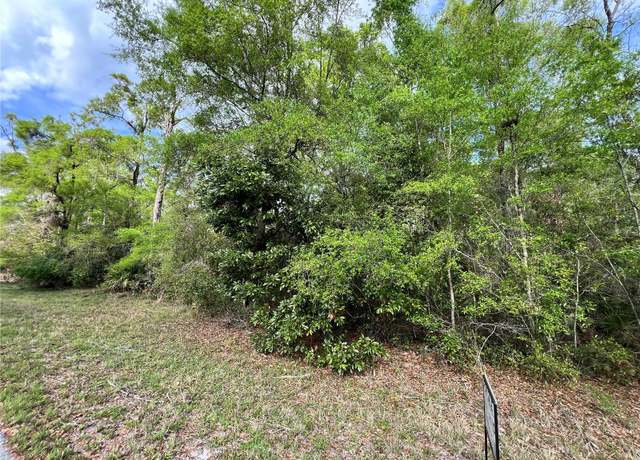 Property at NW 74th Ct #111, Chiefland, FL 32626