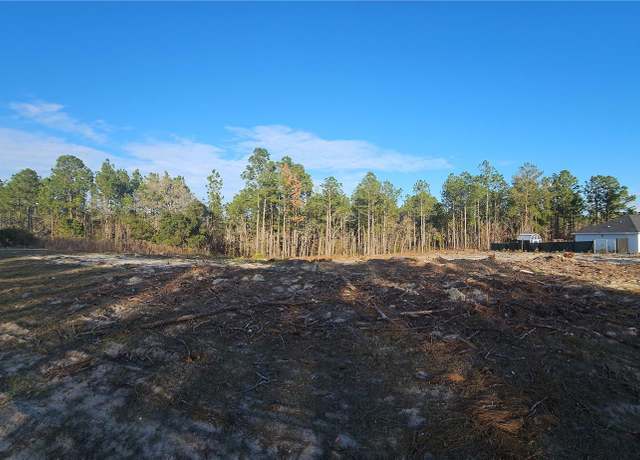 Property at SW 135 Avenue Rd, Ocala, FL 34472