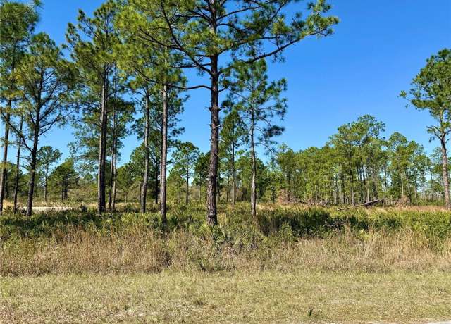 Property at LOT 9 Honeysuckle St, Eustis, FL 32736