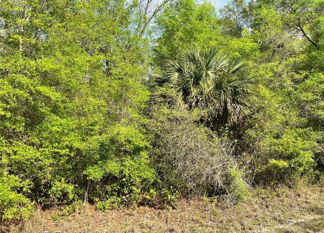 Property at NW 74th Ct #112, Chiefland, FL 32626