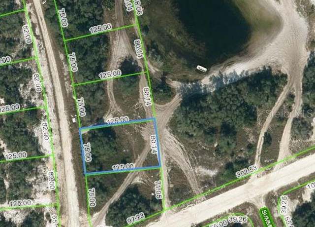 Property at 203 Sunway Dr, Lake Placid, FL 33852