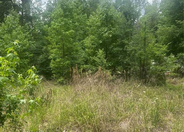 Property at 2614 CR 412, Lake Panasoffkee, FL 33538