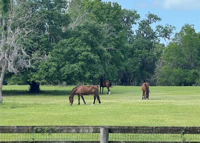 Property at TBD W Highway 329, Reddick, FL 32686