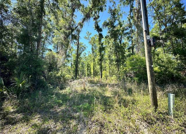 Property at Tbd, Old Town, FL 32680