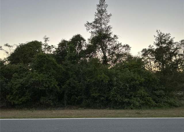 Property at SE 145th Ave, Ocklawaha, FL 32179
