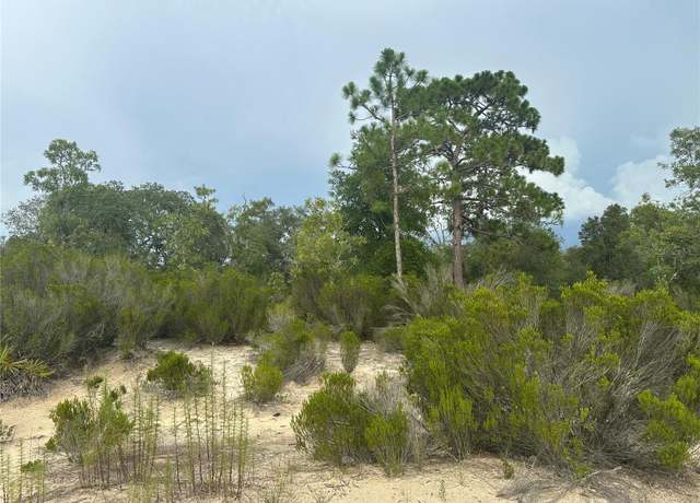 Property at NE 85th St, Bronson, FL 32621