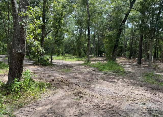 Property at 15221 NE 143rd Ter, Waldo, FL 32694