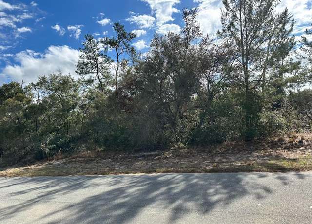 Property at SW 178th Street Rd, Ocala, FL 34473