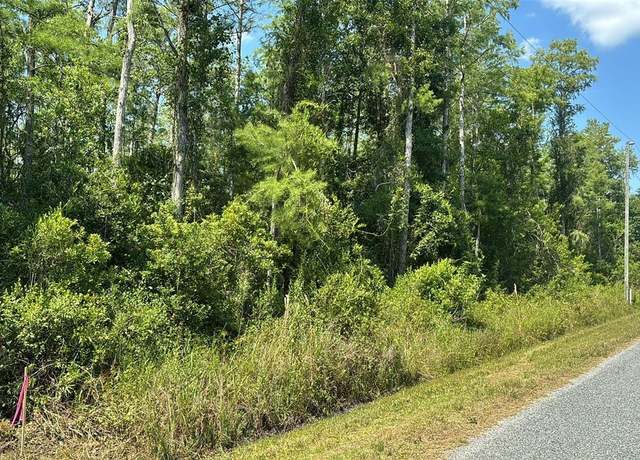 Property at Lot 184 Atlanta Dr, St Cloud, FL 34773