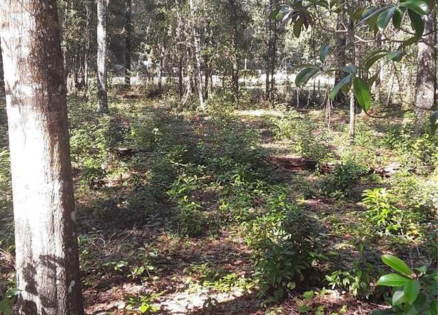 Property at 22733 NE 114th Ave, Fort Mc Coy, FL 32134