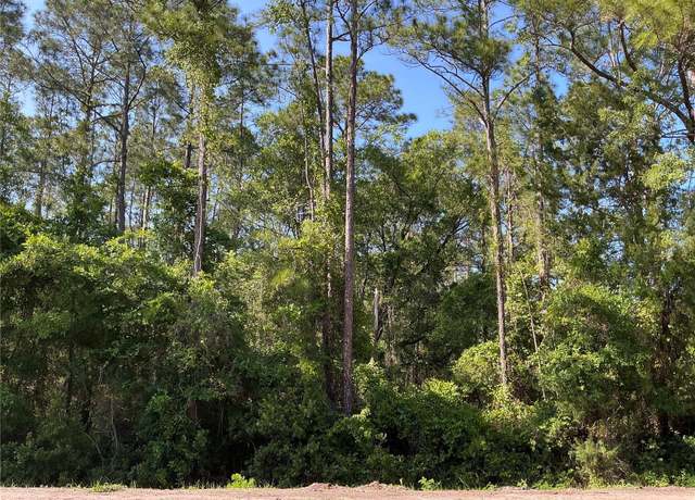 Property at 4200 Helena St, Hastings, FL 32145