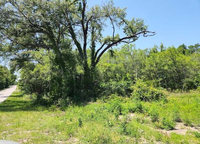 Property at lot 57 SW Marine Blvd, Dunnellon, FL 34431