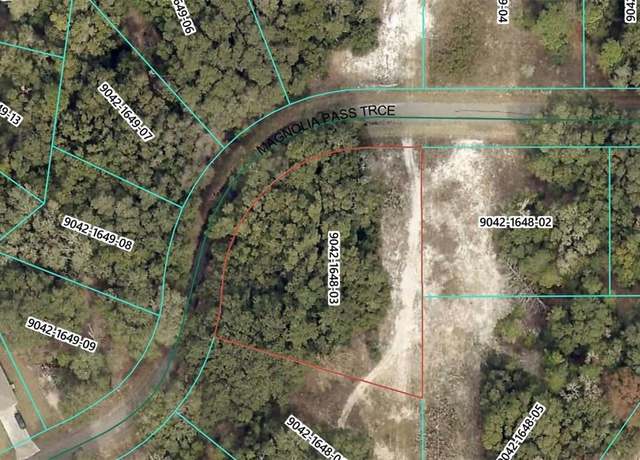 Property at Magnolia Pass Trce, Ocklawaha, FL 32179