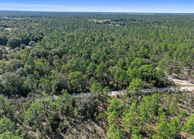 Property at 0 SW 103rd Ln, Dunnellon, FL 34432