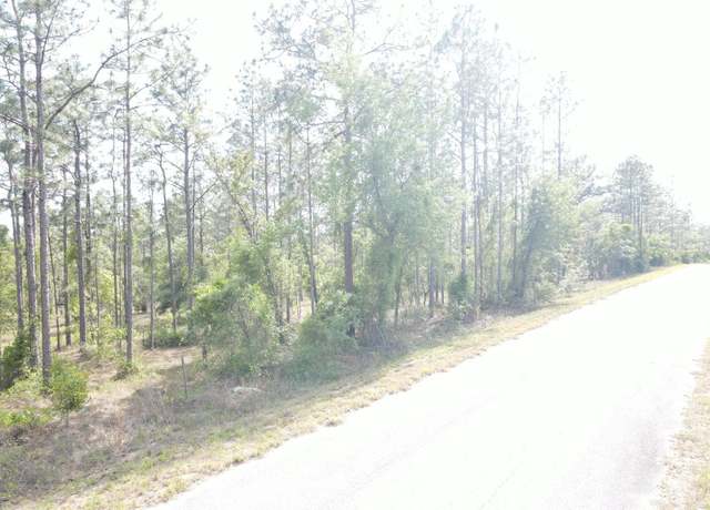 Property at Lot 20 NW Shamrock Ave, Dunnellon, FL 34431