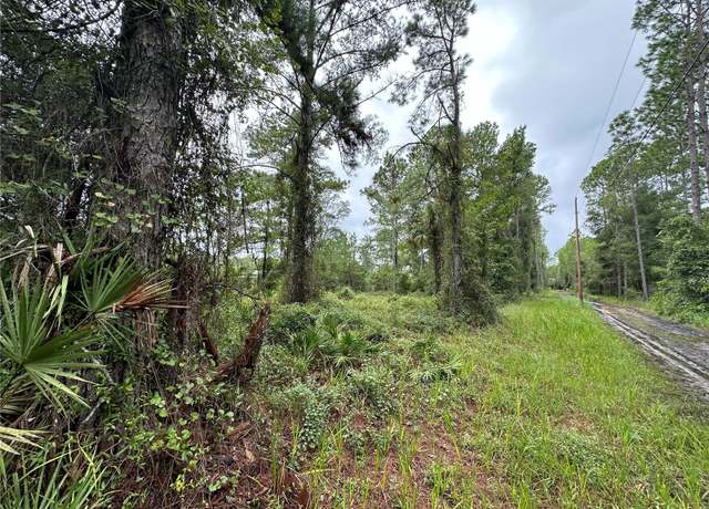 Property at TBD NE 155th St, Fort Mc Coy, FL 32134