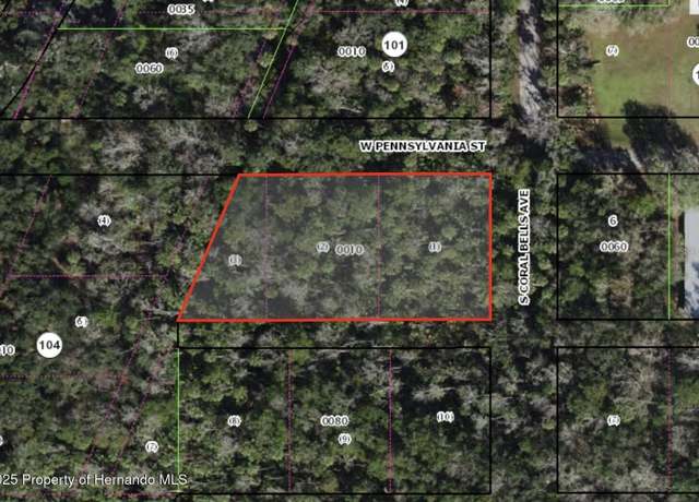 Property at Dunn & Pennsylvania, Homosassa, FL 34448