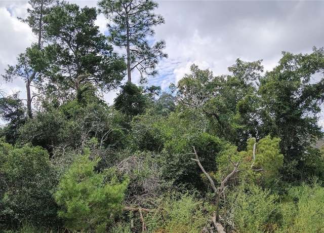 Property at 13014 Hanley Dr, Spring Hill, FL 34609
