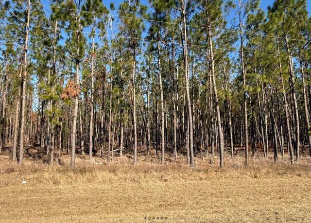 Property at NW County Road 251, Mayo, FL 32066