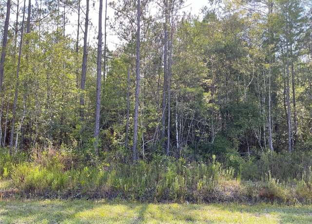 Property at 00 Crotty Ave #1, Hastings, FL 32145