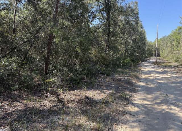 Property at 0 Classic Ln, Melrose, FL 32666