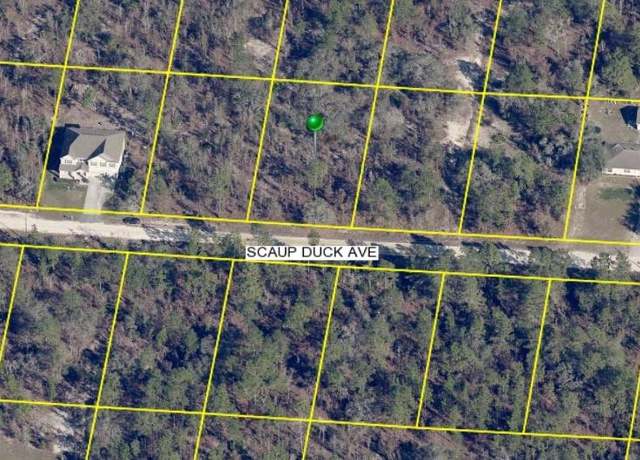Property at 15163 Scaup Duck Ave, Weeki Wachee, FL 34614