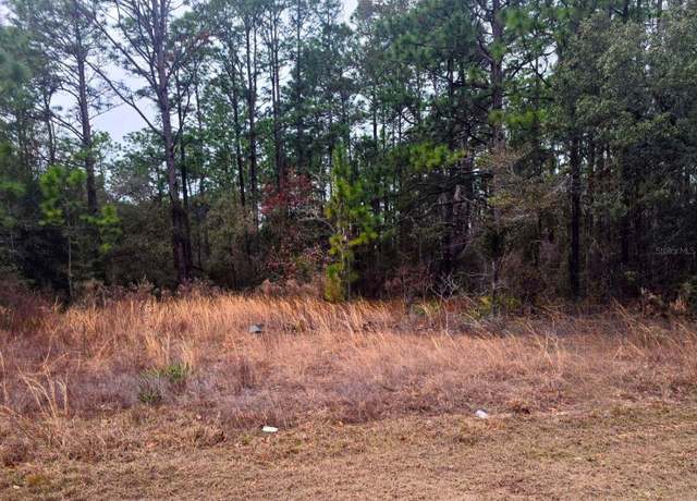 Property at 7372 N Maltese Dr, Citrus Springs, FL 34433