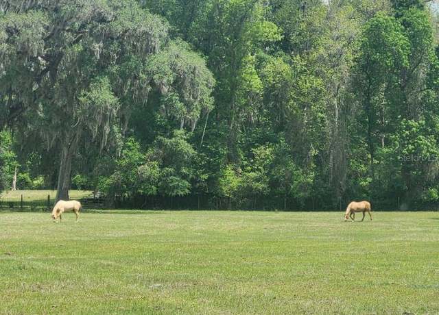 Property at 0 NE 132nd Pl, Anthony, FL 32617