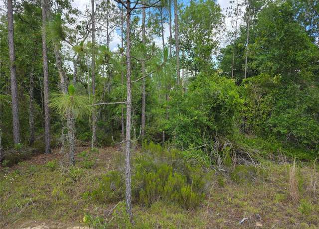 Property at TBD NE 131st Ct, Williston, FL 32696