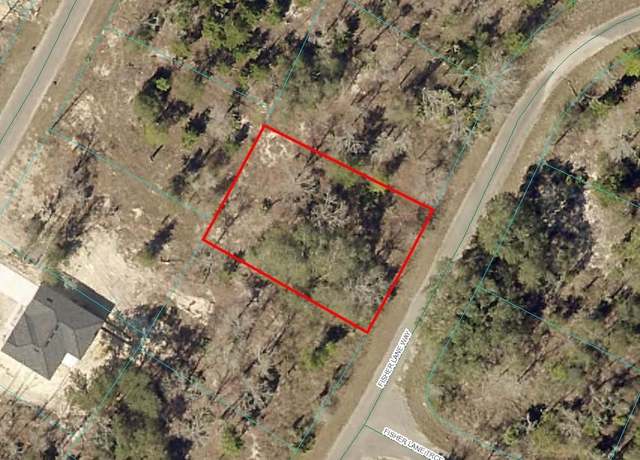 Property at 9038-1243-22 Fisher Lane Way, Ocklawaha, FL 32179