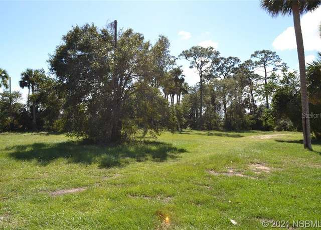 Property at 206 S Ridgewood Ave, Edgewater, FL 32132