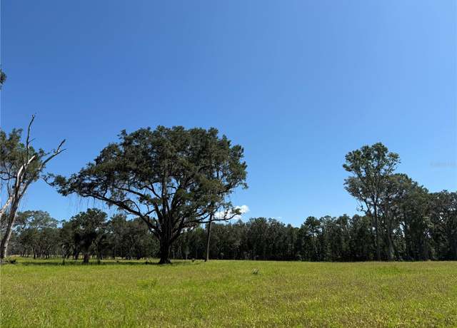 Property at DO #7 (10ac) NW 193rd St, Micanopy, FL 32667