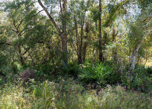 Property at NE 156 St, Old Town, FL 32680