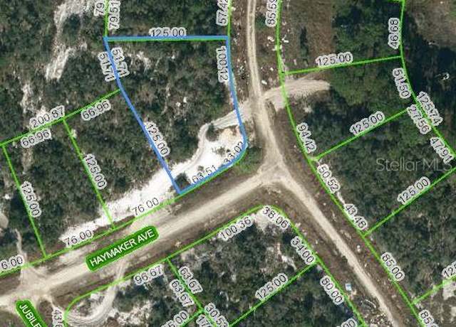 Property at 124 Summer Oak Ct, Lake Placid, FL 33852